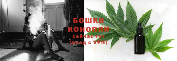 шишки Армянск