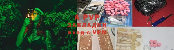 гашик Белокуриха