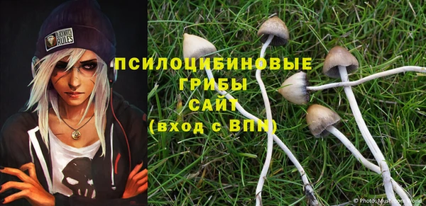 гашик Белокуриха