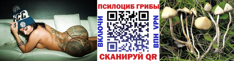 магазин продажи наркотиков  omg ссылка  Псилоцибиновые грибы ЛСД  Чулым 